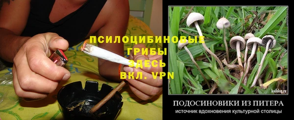 мяу мяу мука Арсеньев
