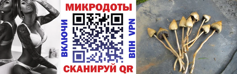 как найти закладки  OMG ссылки  Галлюциногенные грибы GOLDEN TEACHER  Уварово 